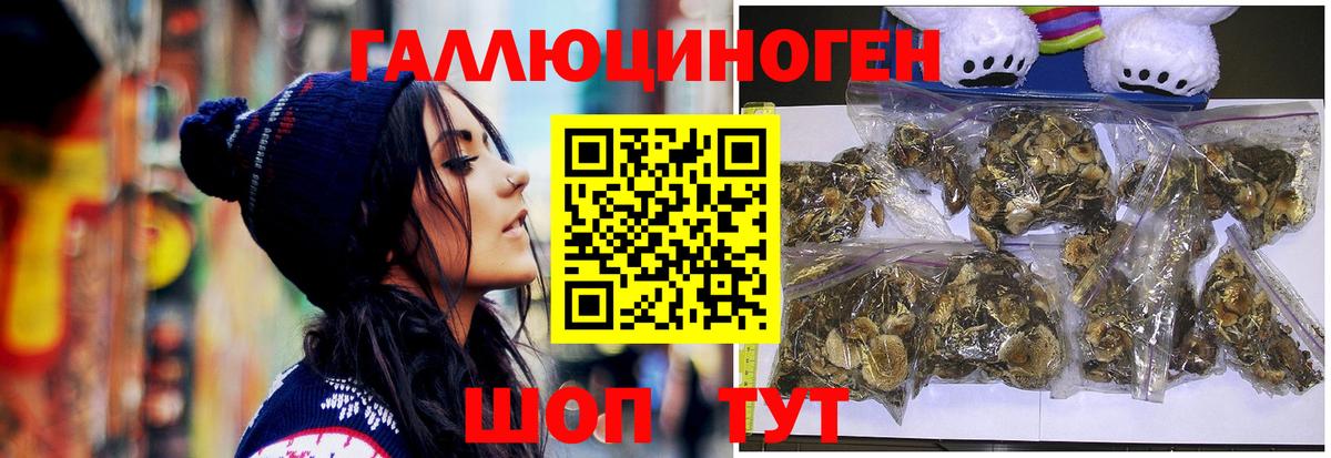 Псилоцибиновые грибы ЛСД Сыктывкар